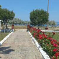 Ege